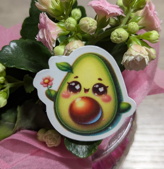 Avocina
