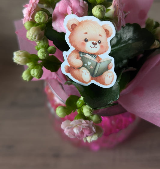 Teddy Tom